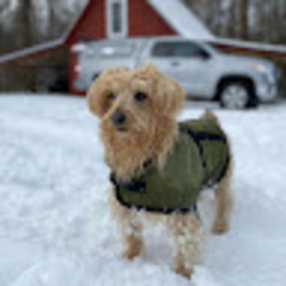 Meet your Posher, Anna